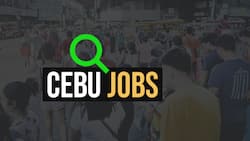 List of amazing jobs in Cebu you can do during your free time