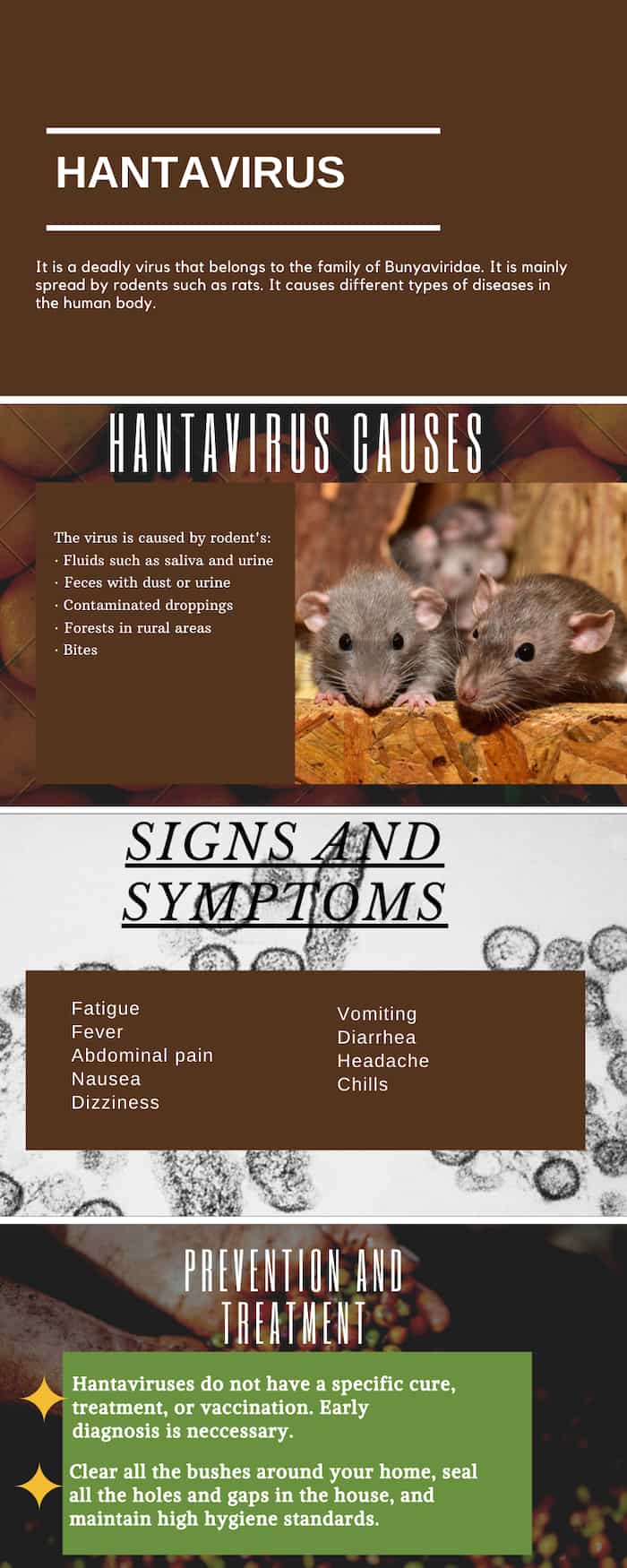 Hantavirus Understanding every aspect of the deadly infection
