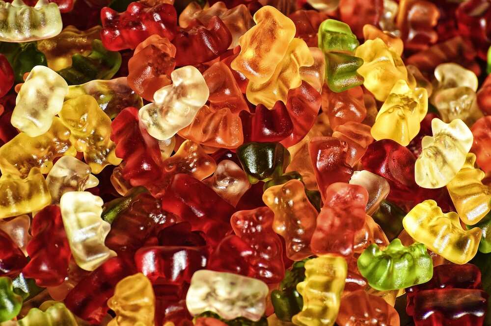 What are Haribo gummy bears made of