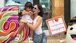 Snaps of Elisse Joson, baby Felize, family exploring Singapore warm hearts