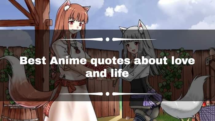 65+ Best Anime quotes about love and life of all time (updated)
