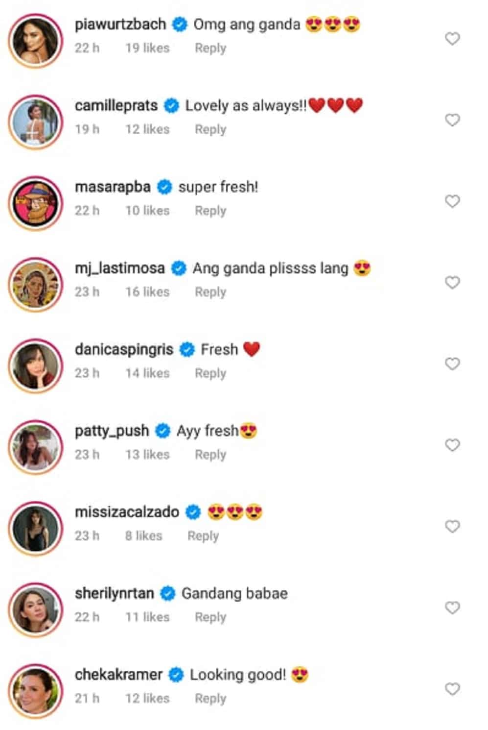 Danica Sotto, other celebrities react to Pauleen Luna's stunning photo: "Fresh"