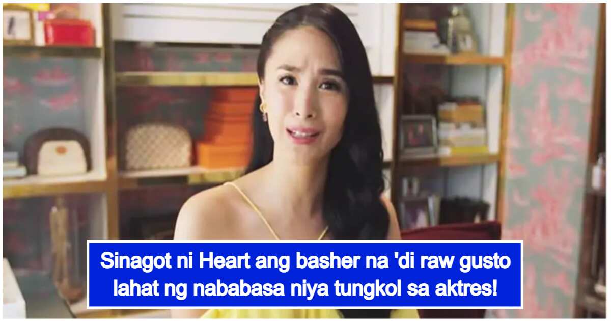 Heart Evangelista Instagram Basher Response