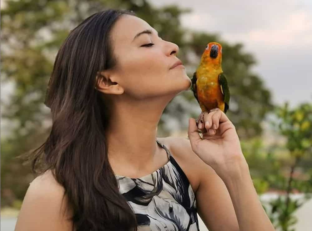Alessandra De Rossi responds to a netizen and says she is a failure Alessandra De Rossi responds to a netizen and says she is a failure