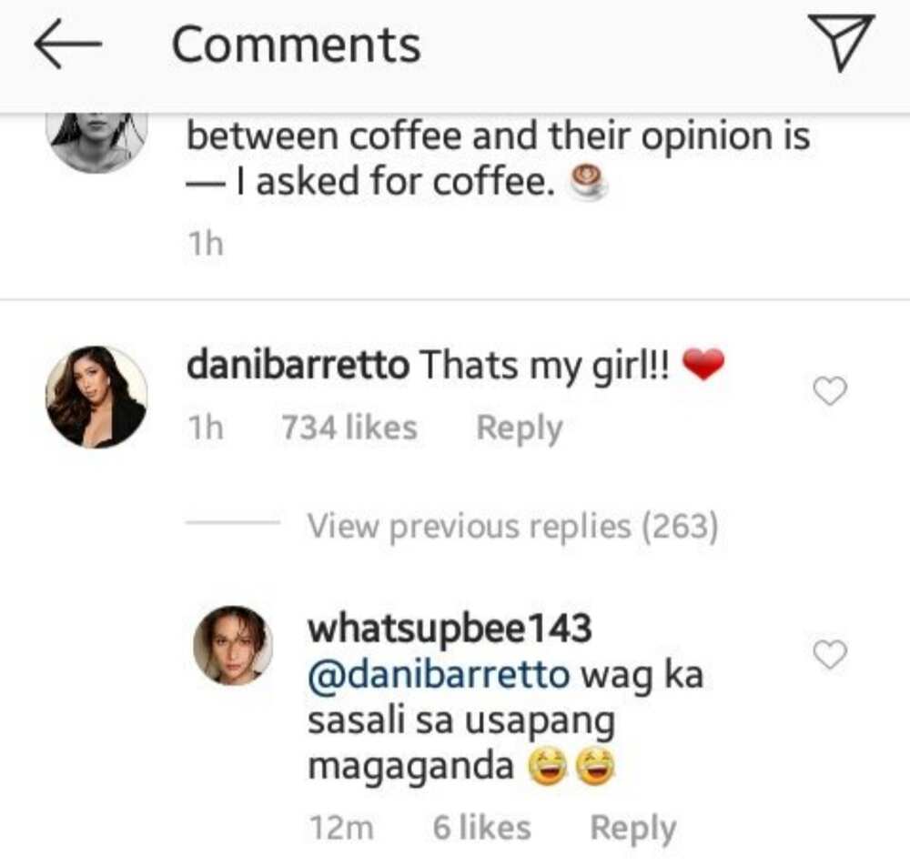 Dani Barretto slams basher criticizing her for commenting on Julia Barretto's post