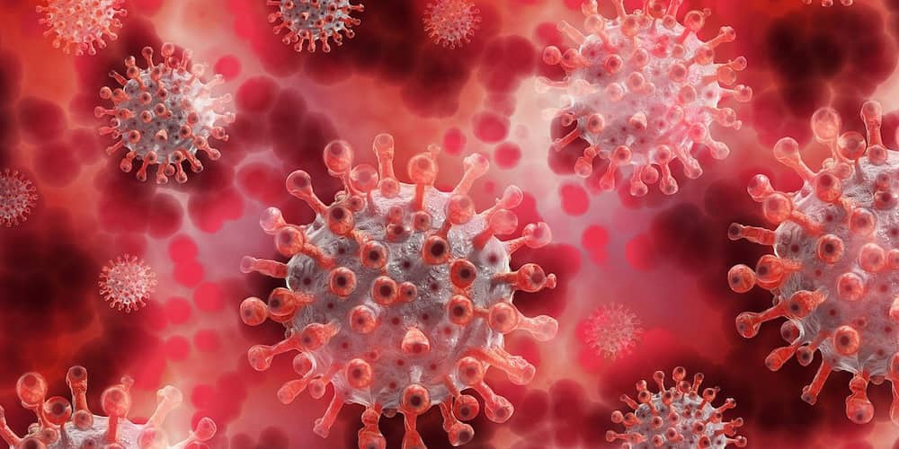 Coronavirus warning: Doctors see long-term COVID-19 effects in young ones Coronavirus warning: Doctors see long-term COVID-19 effects in young ones