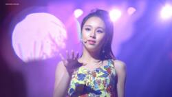 Chaeyoung: The life of the young and successful South Korean pop singer