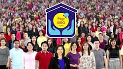 How to check Pag IBIG contribution: online verification and ID requirements