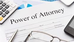 Amazing facts about special power of attorney