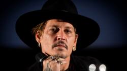 Johnny Depp bio: net worth, age, wife, height, could he be the next joker?