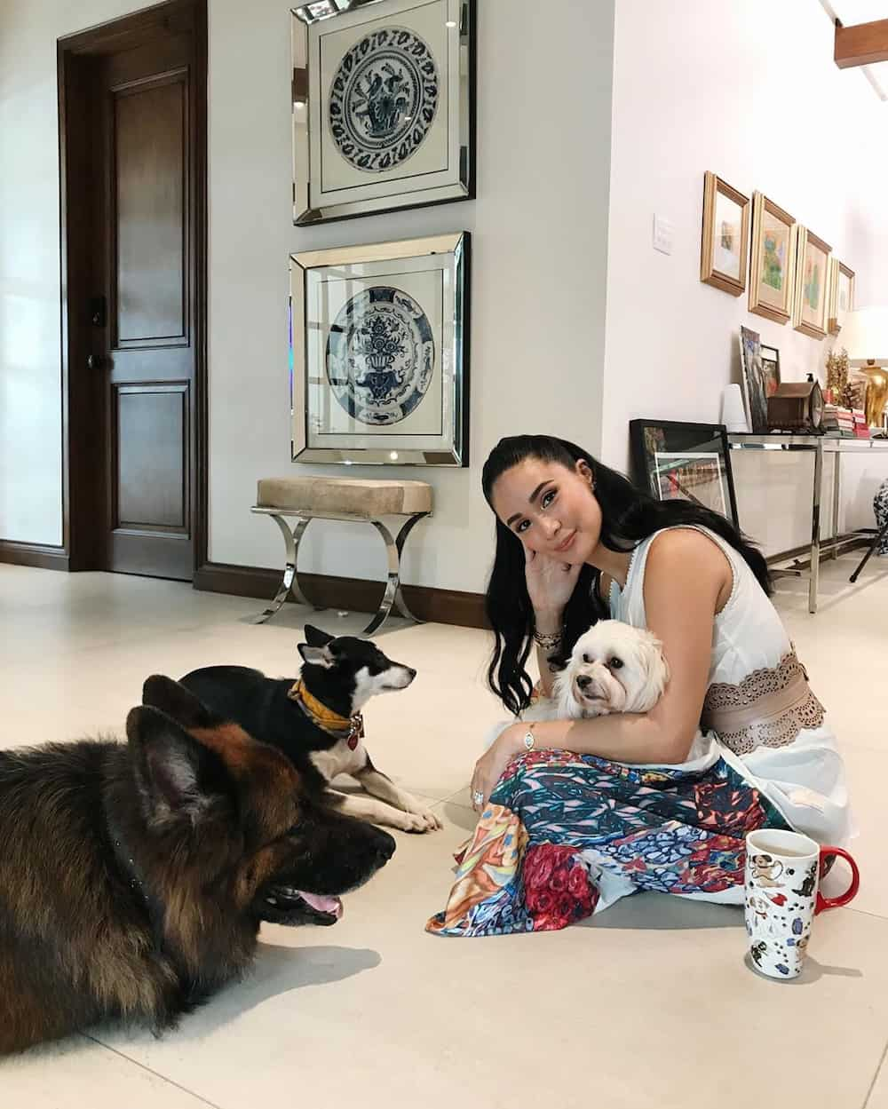 Heart Evangelista Net Worth