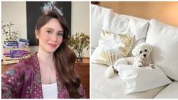 Jessy Mendiola shows "the real boss of the house" in her new post