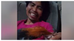 Nakakatuwang video ng manok na 'tumatagay', viral sa socmed