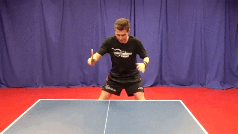 Table tennis basics
