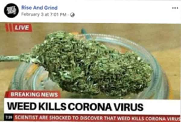 Fact check: No, cannabis cannot kill the Corona Virus Disease (COVID-19)
