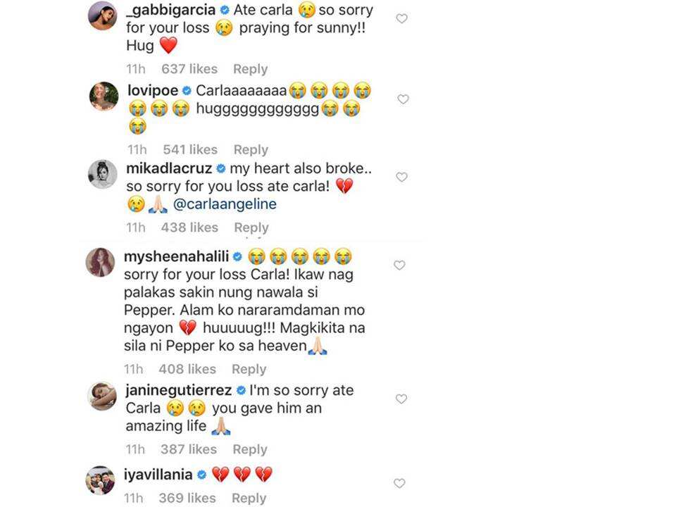 ABS-CBN & GMA celebs react to Carla Abellana’s mourning for the loss of her dog