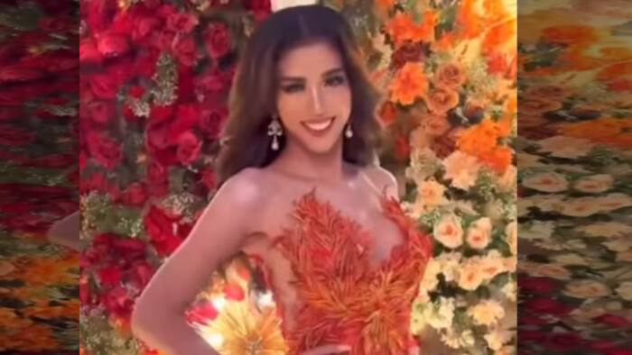Video ni Herlene ‘Hipon Girl’ Budol na iminomodelo ang bonggang gown na suot niya, viral