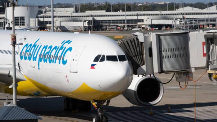 ‘Diskarte hindi arte’: Cebu Pac flight attendant slams those who belittle online sellers
