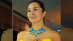 Kuya Kim Atienza sa bashers ni Alice Dixson at ng gown niya sa GMA Gala Night: “let them be”