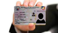 How to get UMID ID in 2023: registration and requirements