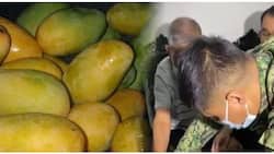 Xian Gaza speculates on Lolo Narding’s arrest over mangoes: “di siya makapangyarihan”