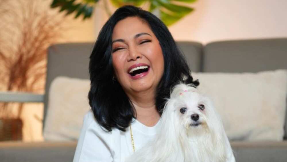 Maricel Soriano, napuri at nais ma-interview sina Enchong Dee at Joshua Garcia Maricel Soriano, napuri at nais ma-interview sina Enchong Dee at Joshua Garcia