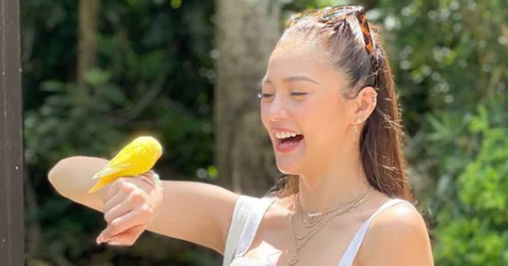 Kim Chiu admits her biggest online splurge is worth approximately 150,000 pesos Kim Chiu admits her biggest online splurge is worth approximately 150,000 pesos