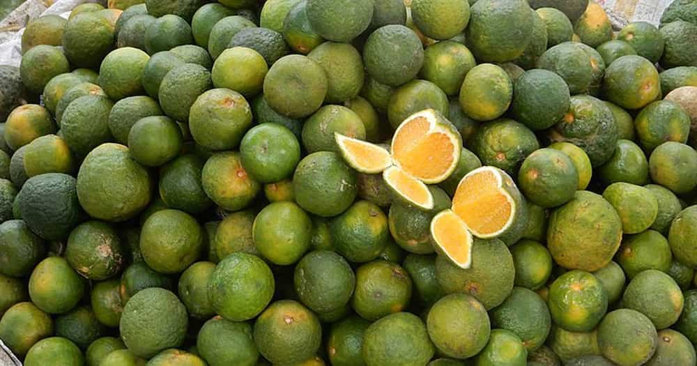 Strengthen the immune system with truly Pinoy fruits Strengthen the immune system with truly Pinoy fruits