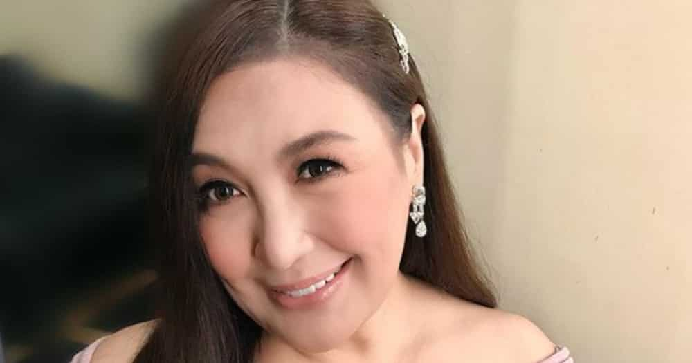 Sharon Cuneta sends message to Gabby Concepcion about KC; calls him “Papi”