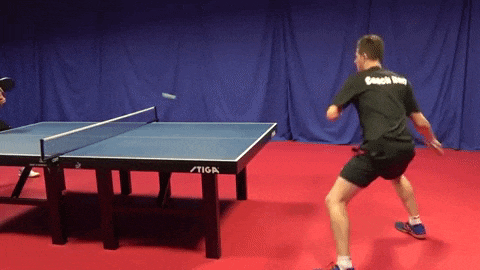 All about table tennis