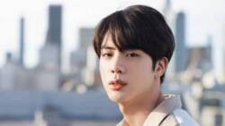 Intriguing bio of Jin, BTS member