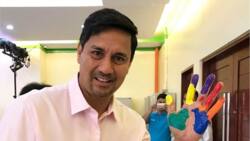 Alleged cost of Richard Gomez’ controversial painting surfaces online