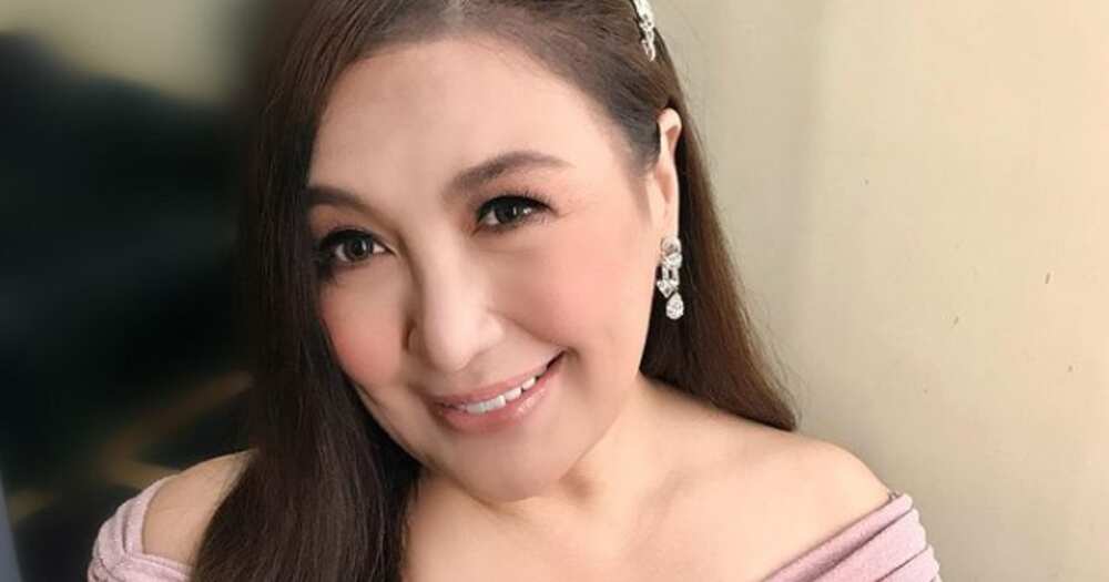 Sharon Cuneta, ipinakita ang construction ng mala-mall na bagong mansion