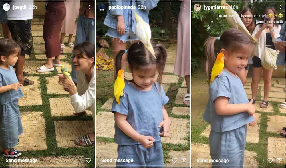 Video ni baby Dahlia Heussaff na kinagigiliwan ang ilang ibon, viral