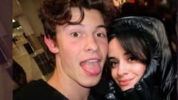 Camila Cabello and Shawn Mendes announce split in a joint statement