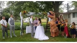 Bridesmaid na sinabihan magsuot ng kahit ano sa kasal, sumipot ng naka-T-rex costume