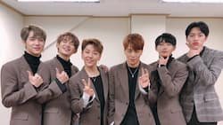 Intriguing facts about JBJ band