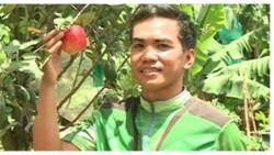 Agriculture student, matagumpay na nakapagpatubo ng 'apple' sa Davao del Sur