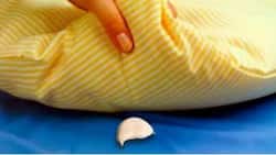 Why put a garlic clove under the pillow? Benefits are amazing and I do it, too!