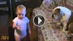 Baby and dog have a debate no one else can understand!