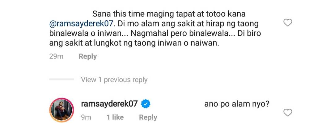 Derek Ramsay, Ellen Adarna, di tinatantanan ng bashers, rumesbak: "Ano alam nyo?"