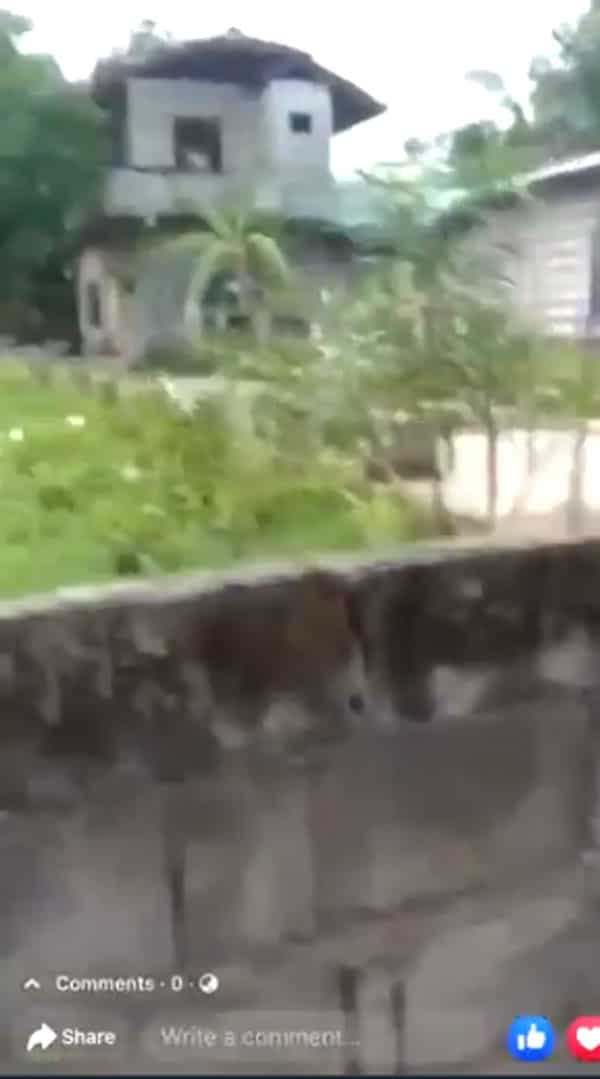 Kinuyog! Video of men attacking home of Jonel Nuezca after shooting Gregorio surfaces