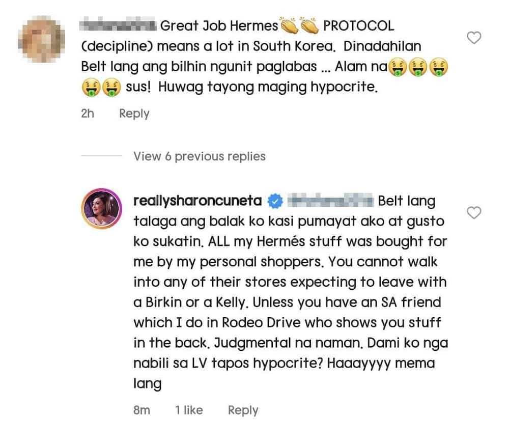 Sharon Cuneta, nag-react sa "great job Hermès" comment ng basher: "Mema lang"