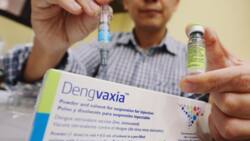 Malacañang open to bring back Dengvaxia if it would benefit Filipinos