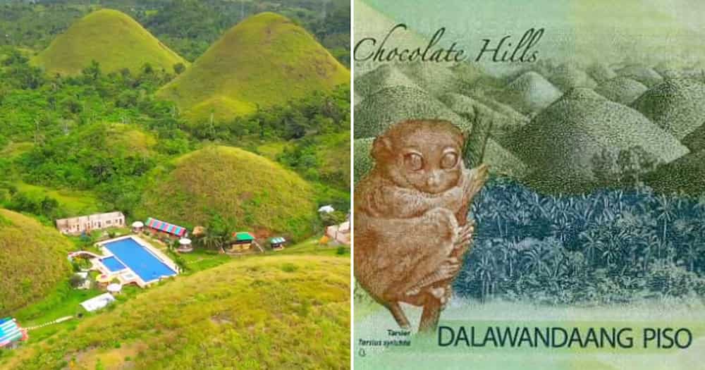 Artwork sa likod ng P200 na may resort sa gitna Chocolate Hills, kinagiliwan ng netizens; nag-viral