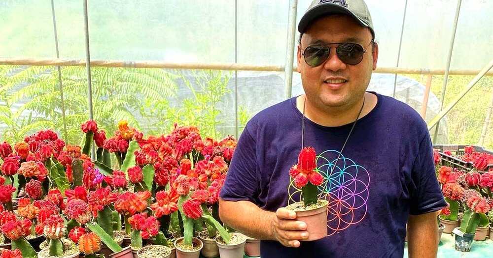 Harry Roque tests positive for COVID-19 infection: ‘It came as a shock’