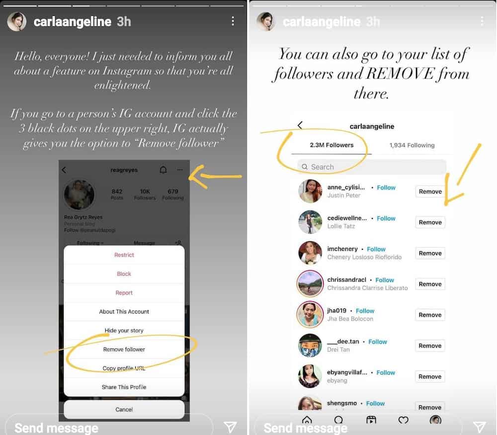 Carla Abellana enlightens netizens about 'remove follower' feature on IG