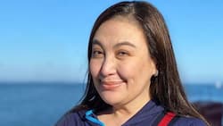 Sharon Cuneta, sasabak na sa kauna-unahang teleserye niya; magiging bahagi ng 'Ang Probinsyano'