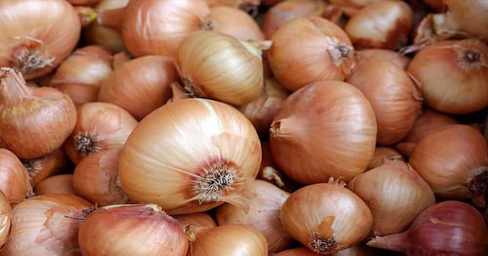 White onions
