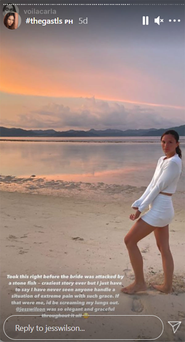 Georgina Wilson's sister Jess Wilson shares how she nearly died after her wedding